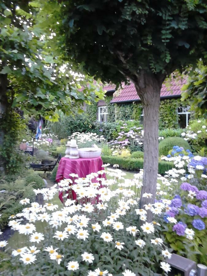 Ferienhaus Zaunkoenig Eversmeer エクステリア 写真